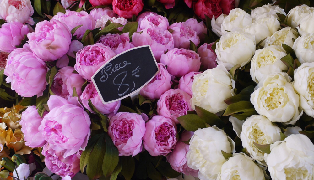 nice-cotedazur-travel-marche-saleya-flowers